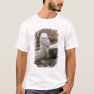 Camiseta Canadá, Bahía Boundary, Búho Nival