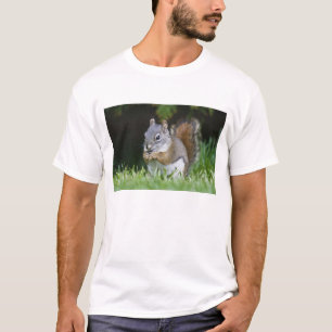 Camiseta Canadá, Columbia Británica, ardilla roja del pino