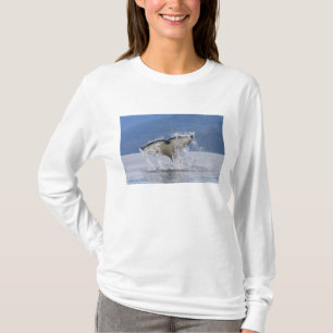 Camiseta Canadá, Columbia Británica, Isla de Vancouver,