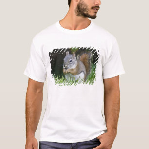 Camiseta Canadá, Columbia Británica, Piñonero de ardilla ro