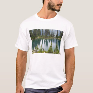 Camiseta Canadá, Columbia Británica, Revelstoke Nacional