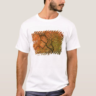 Camiseta CANADÁ, Columbia Británica, Victoria. Otoño 2