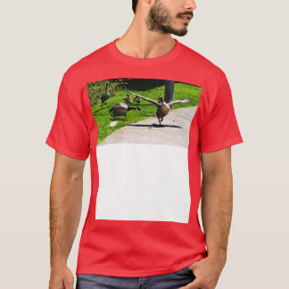 Camiseta Canadá Golpea De Ganso En Otras Alas De Ganso Se D