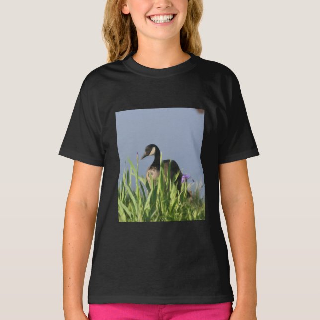 Camiseta Canadá Goose Irises Animal Art (Anverso)
