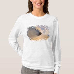 Camiseta Canadá, Manitoba, Bahía de Hudson Oso polar