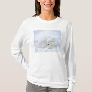 Camiseta Canadá, Manitoba, Churchill. Zorro ártico
