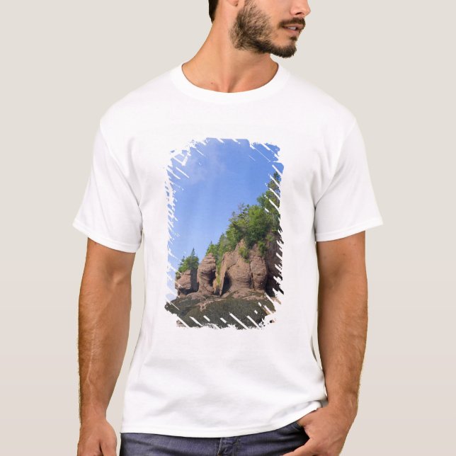 Camiseta Canadá, Nueva Brunswick, Hopewell Cape, Bay (Anverso)