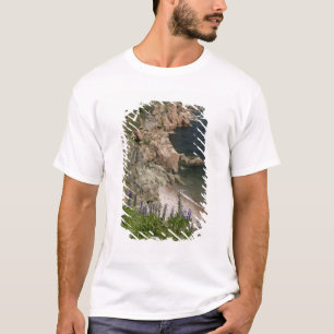 Camiseta Canadá, Nueva Escocia, Isla del Cabo Bretón, Cabot