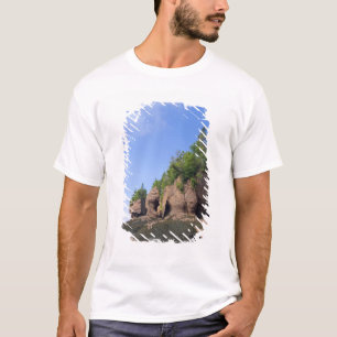Camiseta Canadá, Nuevo Brunswick, Hopewell Cape, Bahía de
