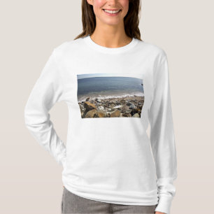 Camiseta Canadá, Quebec. Tren de VIA Rail Canada El
