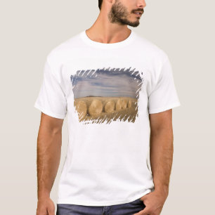 Camiseta Canadá, Saskatchewan, Craik: Rollos de heno / Otoñ