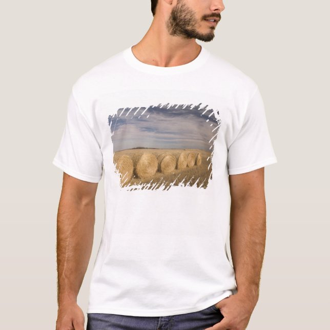 Camiseta Canadá, Saskatchewan, Craik: Rollos de heno / Otoñ (Anverso)