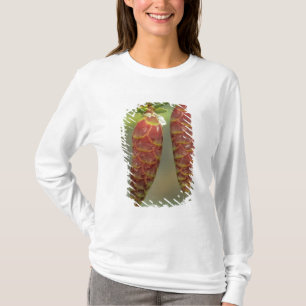 Camiseta Canadá, Yukón, conos de abeto negro