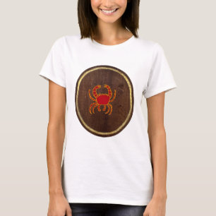 Camiseta Cáncer 2009