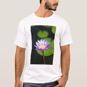 Camiseta Cancún, México