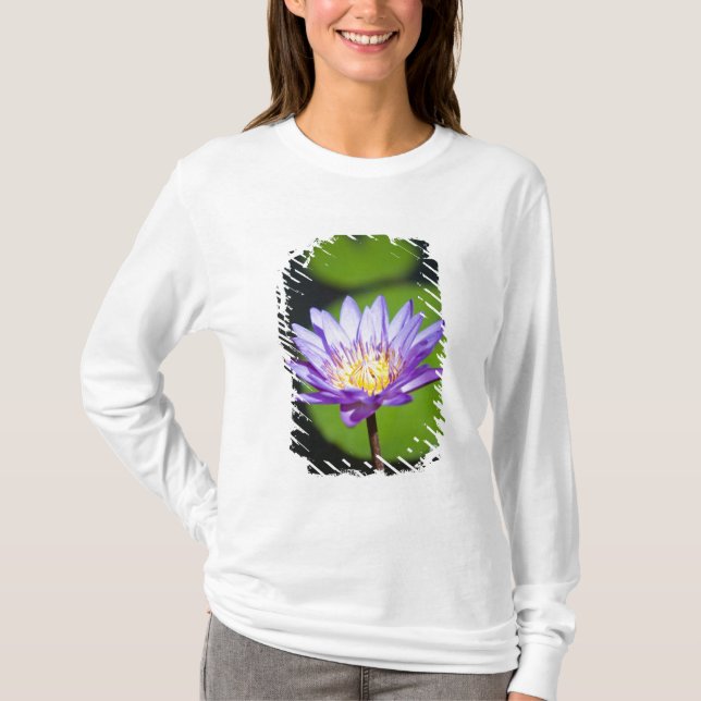 Camiseta Cancún, México (Anverso)