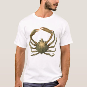 Camiseta Cangrejo araña