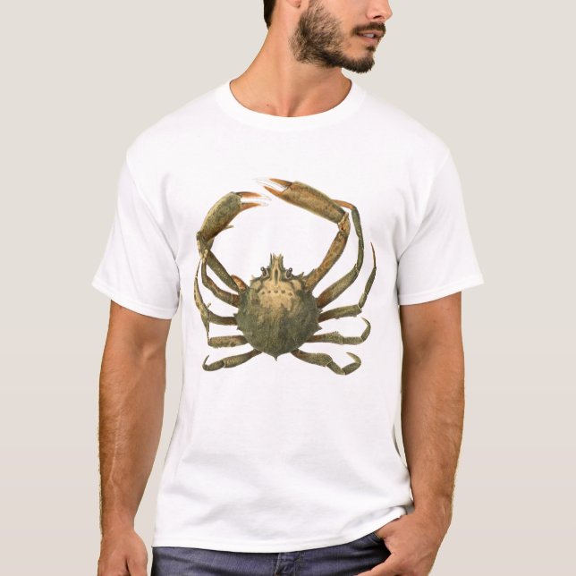 Camiseta Cangrejo araña (Anverso)