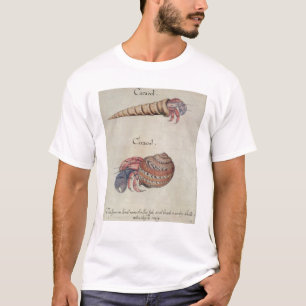 Camiseta Cangrejo de ermitaño