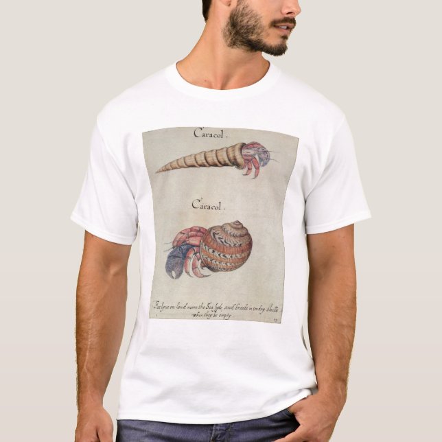 Camiseta Cangrejo de ermitaño (Anverso)