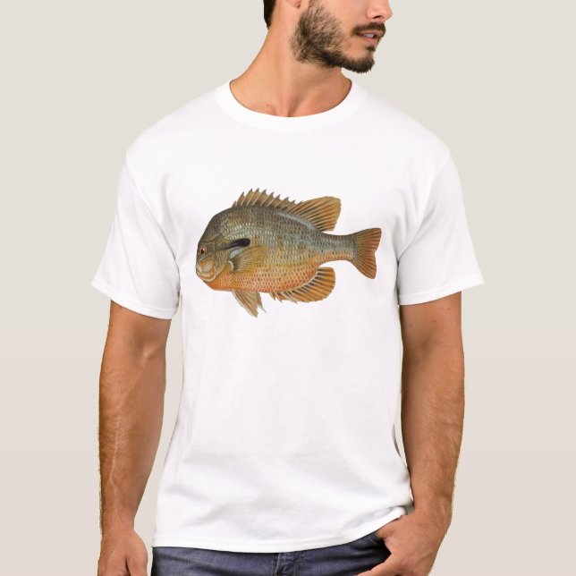 Camiseta Cangrejo de la Sombra - Lepomis auritus (Anverso)