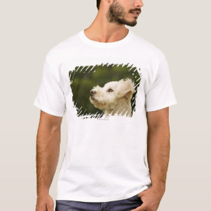 Camiseta Caniche 2 (blancos)
