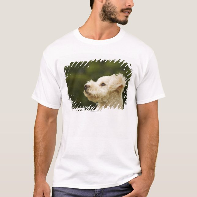 Camiseta Caniche 2 (blancos) (Anverso)