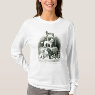 Camiseta Caniches y Whippet - grupo de Sr. Walton