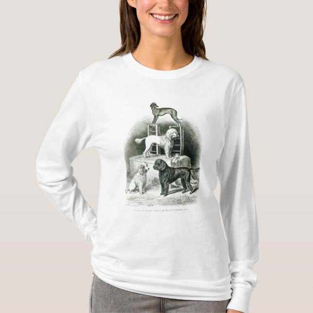 Camiseta Caniches y Whippet - grupo de Sr. Walton (Anverso)