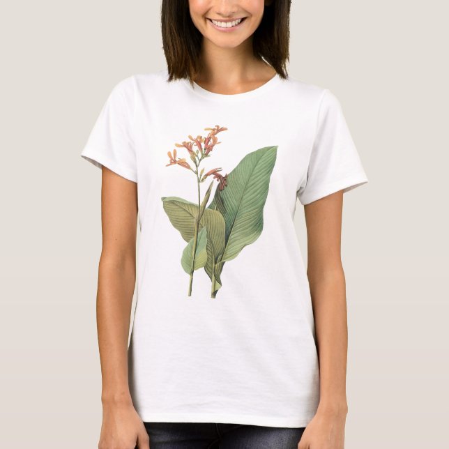 Camiseta canna(Canna gigantea) de Redouté (Anverso)