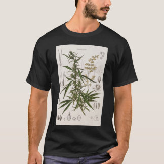 Camiseta Cannabis Sativa - Poster de entrada botánica franc