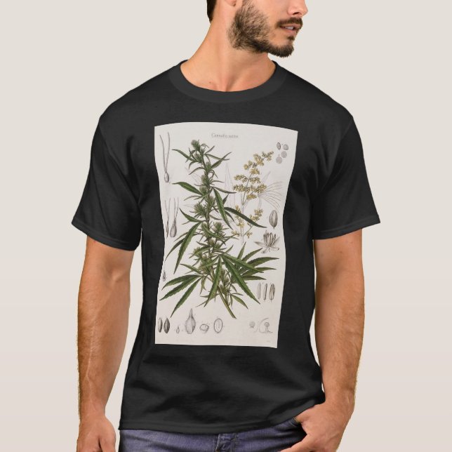 Camiseta Cannabis Sativa - Poster de entrada botánica franc (Anverso)