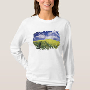 Camiseta Canola amarilla en el estado de Whitman County en 