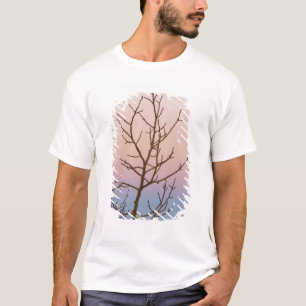 Camiseta Cañón Bryce, Utah. Árbol desnudo frente a la puest
