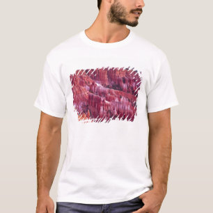 Camiseta Cañón Bryce, Utah, EE. UU.
