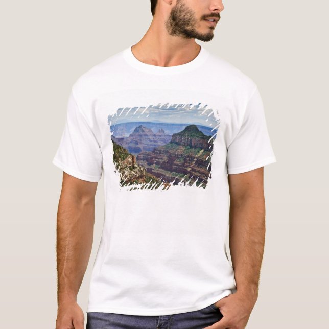 Camiseta Cañón Gran Cañón Norte - Gran Cañón Nacional (Anverso)