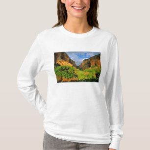 Camiseta Cañón Kolob en Zion Canyon en Zion National