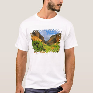 Camiseta Cañón Kolob en Zion Canyon en Zion National
