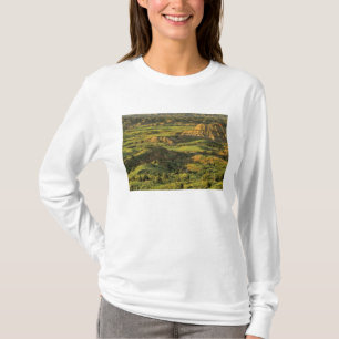 Camiseta Cañón Pintado Después de la Tormenta en Theodore R