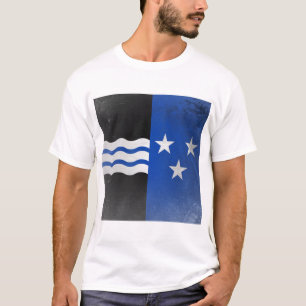 Camiseta Cantón de Aargau