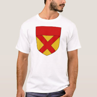 Camiseta Capa de Bruce de arms.JPG