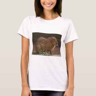 Camiseta Capibara