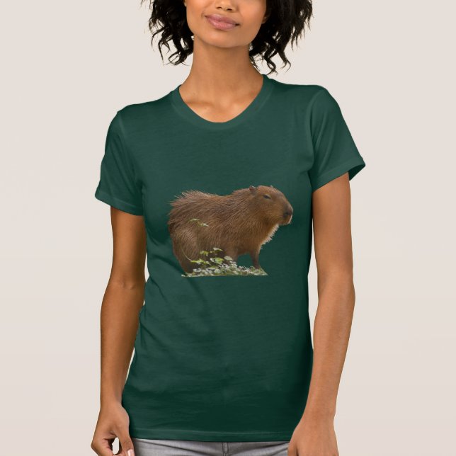 Camiseta Capibara (Anverso)