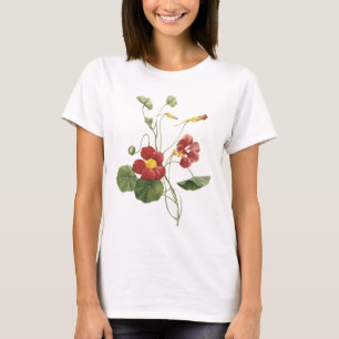 Camiseta capuchina (majus del Tropaeolum) por Redouté