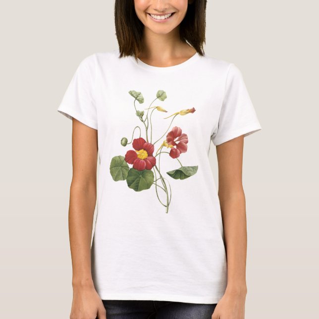 Camiseta capuchina (majus del Tropaeolum) por Redouté (Anverso)
