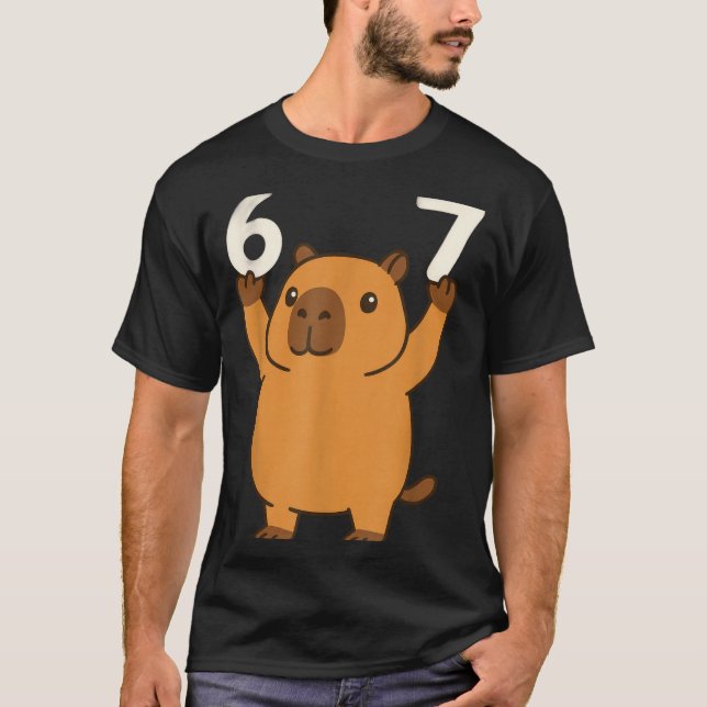 Camiseta Capybara 67 Meme Seis Siete Divertido  (Anverso)