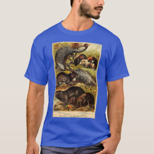 Camiseta Capybara - Cerdo de Guinea - Animal de Porcupine V