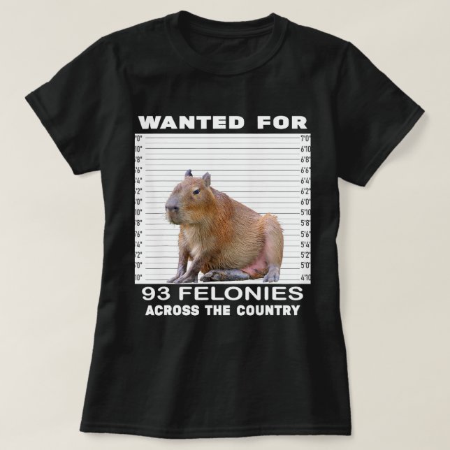 Camiseta Capybara Lover Quería 93 Felonías En Todo El C (Diseño del anverso)