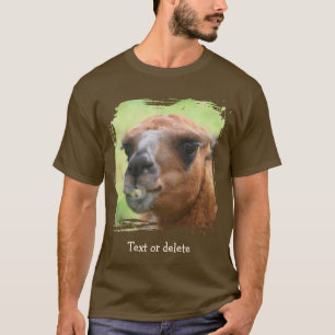 Camiseta Cara de Llama Enojada Personalizada