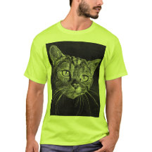 Cara del gato mi dibujo de la High School